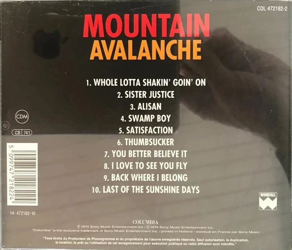 CD Mountain "Avalanche" – photo 2